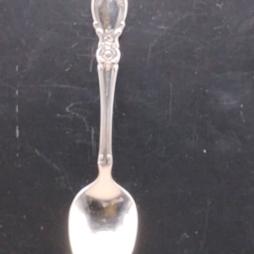 Oneida Community Stainless Steel Plantation pattern teaspoon glossy floral 1990s